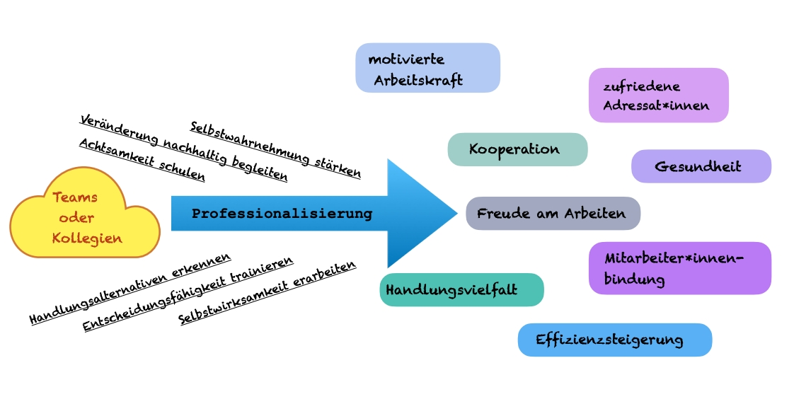 professionalisierung